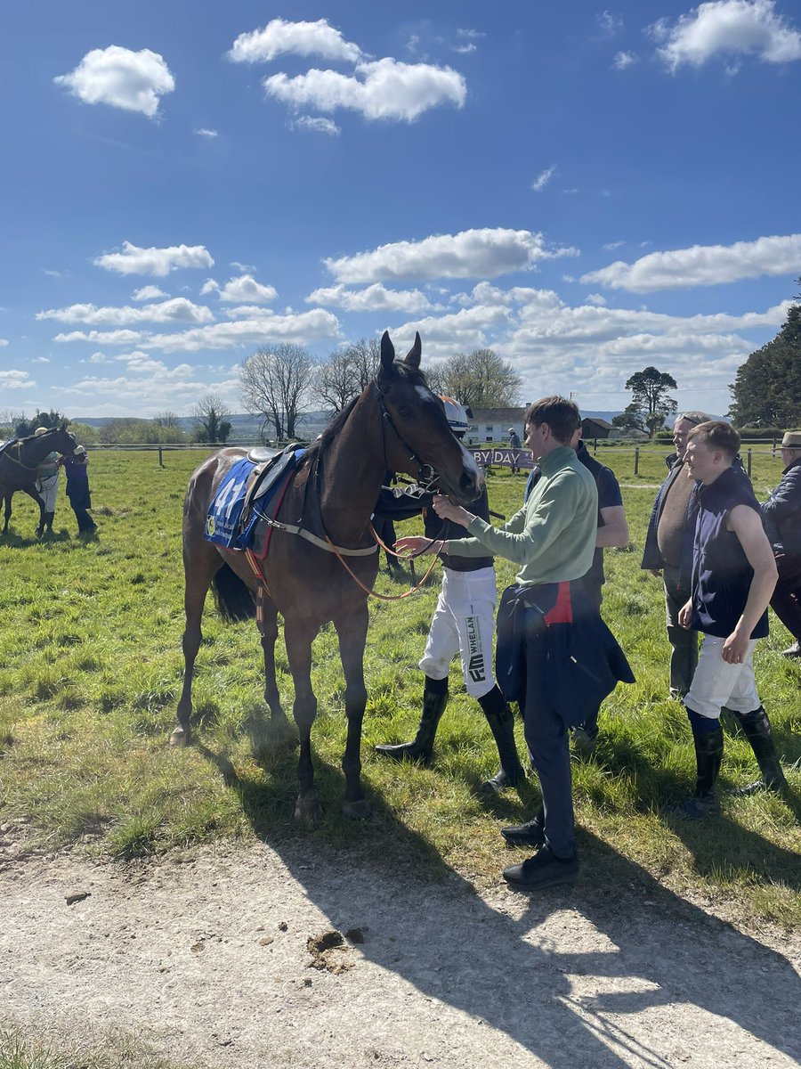 Delighted to have bred the impressive winner of Div 2 of the 4yo geldings maiden at Dromahane today, Dalston Lad! 🐎