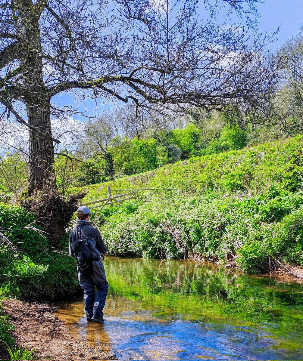 A cold afternoon session on the brook. #flyfishing #guidedfishing #flyfishinglessons #flyfishinglife #flycasting #trout #browntrout #rainbowtrout #grayling #onthefly #flyfishingnation #outsidedays #salmon #seatrout #dryfly #nymph #Snowbee #flyfishinglife #river #stream #lake
