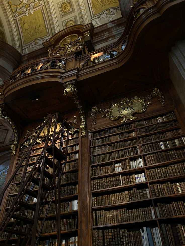Library of Wien📚✨