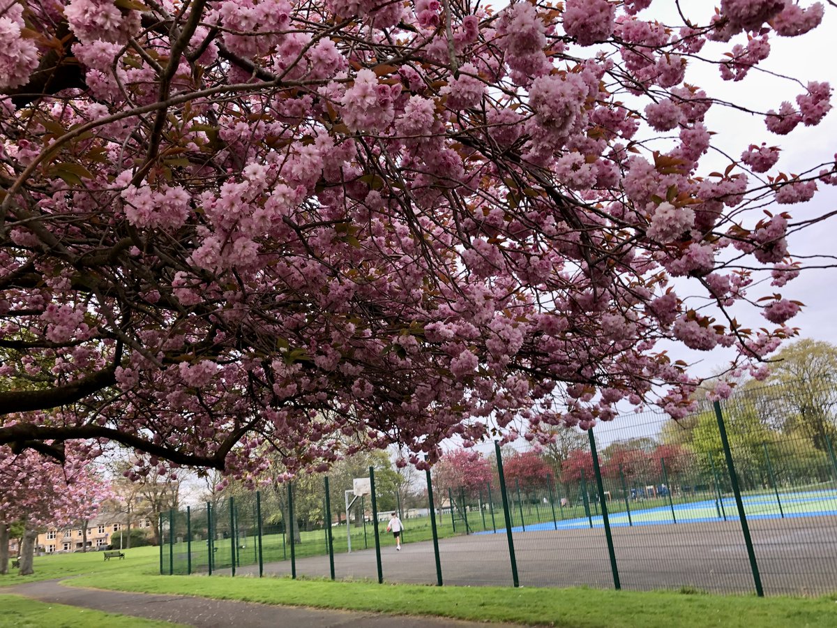 Spring in #Edinburgh ❤️