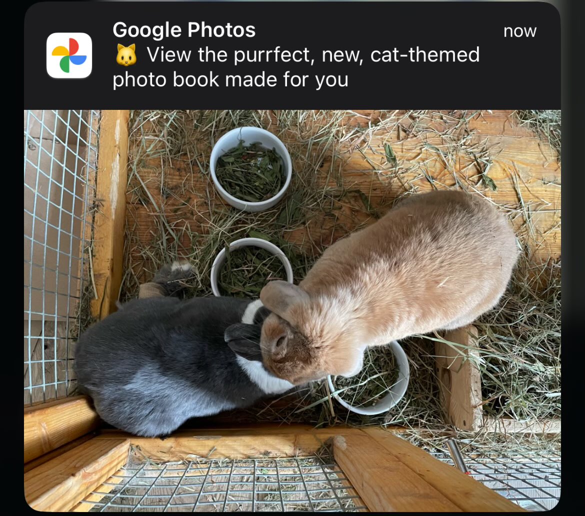 That’s a bunny, google.