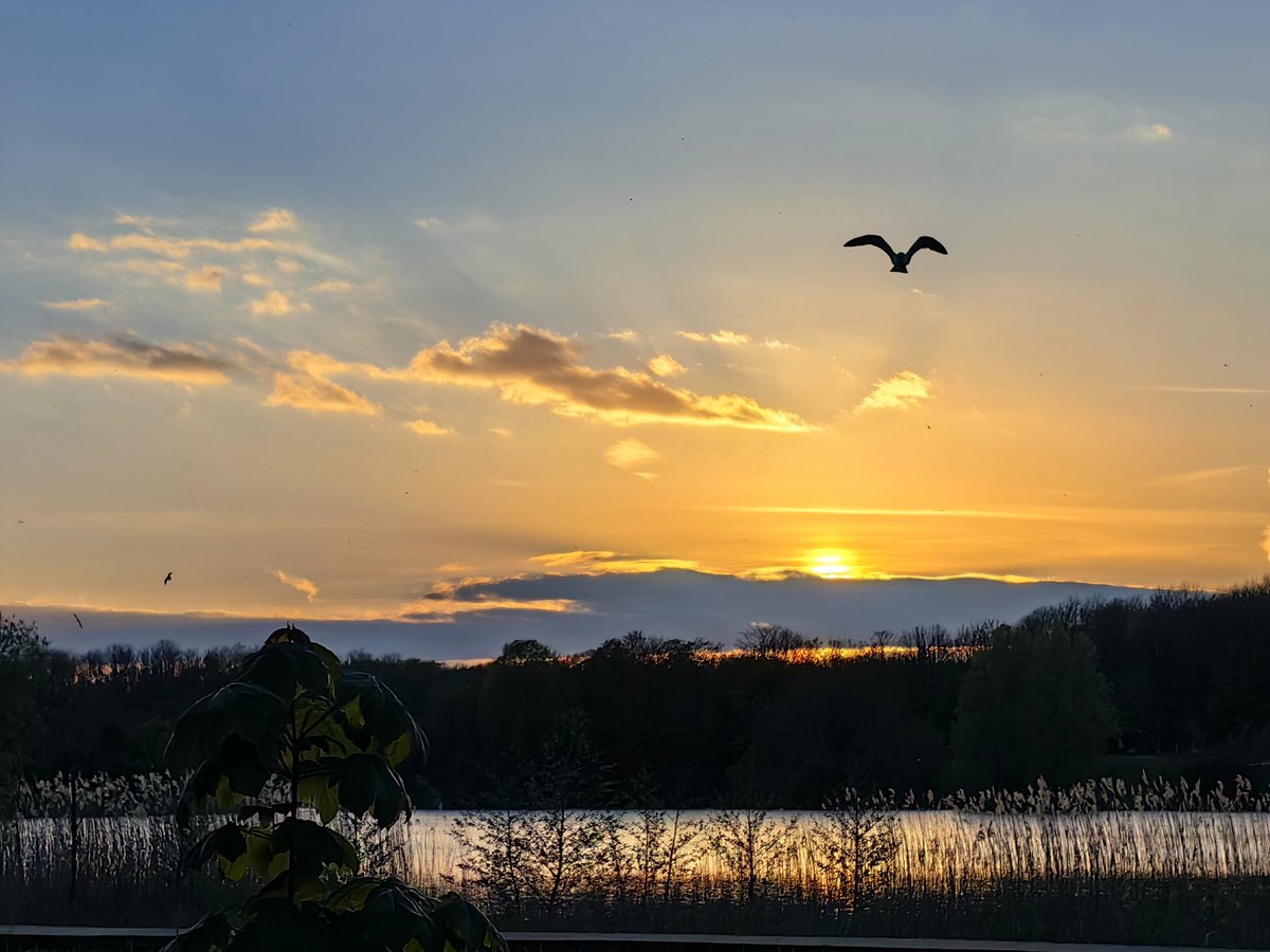 Cosmeston Lakes, Vale of Glamorgan. @S4Ctywydd Evening of 21st April 2024