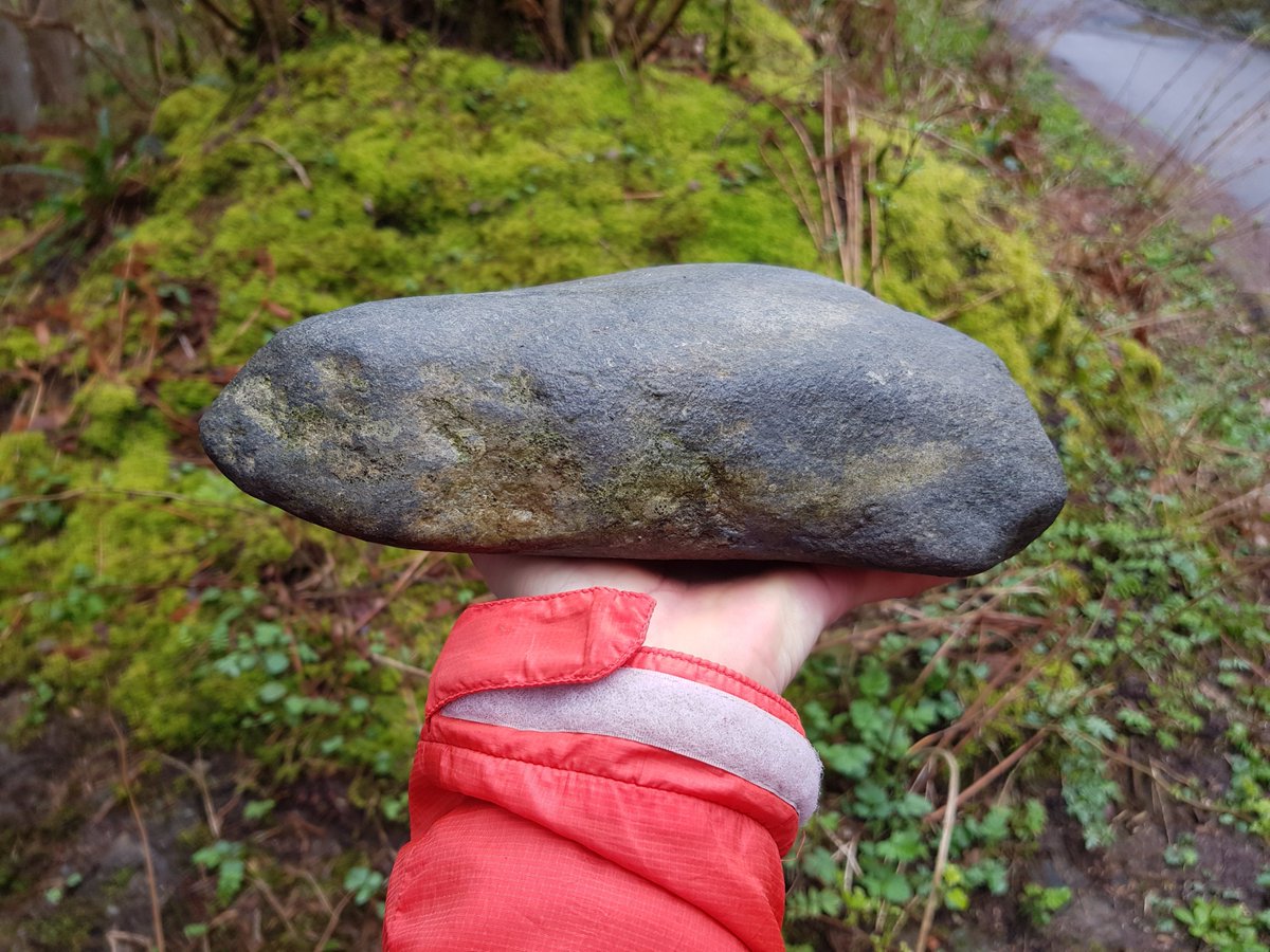A misty moody damp day in the hills, taking a rock for a walk