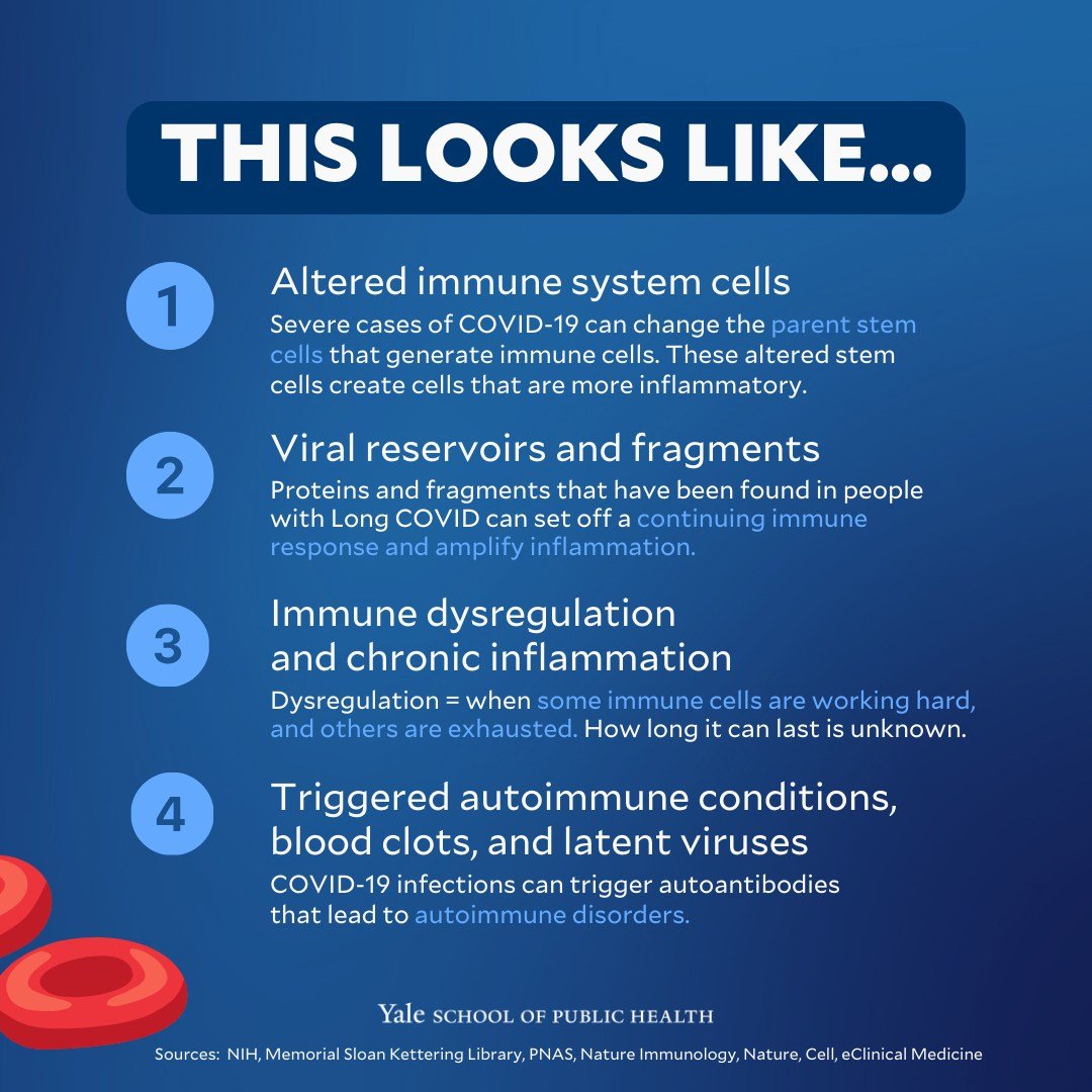 Looks like Yale school of public health has finally started to say what I have been repeatedly saying since 2020 1) covid creates longlasting autoimmunity by harming t regs 2) harms adaptive immunity 3) causes immune dysregulation 4) persists etc