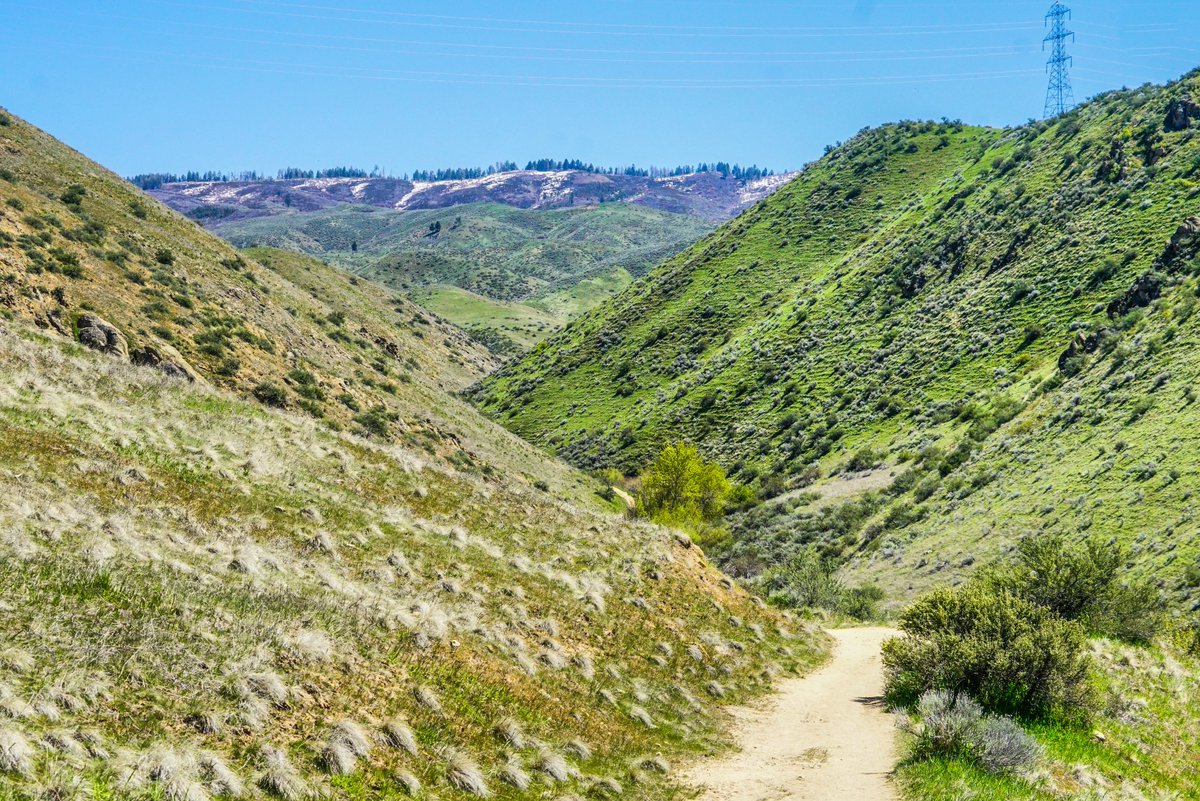 abrewi3010's tweet photo. More #Hiking photos for you. #ChronicPain #DegenerativeDiskDisease #Photography #PatientChat https://t.co/tjuYV7x5mf
