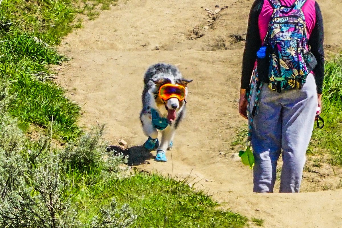 abrewi3010's tweet photo. More #Hiking photos for you. #ChronicPain #DegenerativeDiskDisease #Photography #PatientChat https://t.co/tjuYV7x5mf