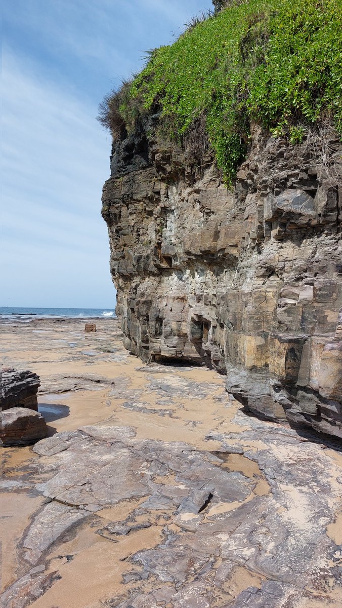pfwaus's tweet photo. Where the rock shelf meets the coastal cliff at #Coledale on the Illawarra Coast south of #Sydney #NewSouthWales #Australia #nature #travel #TravelOz https://t.co/kHIe6PXrCh