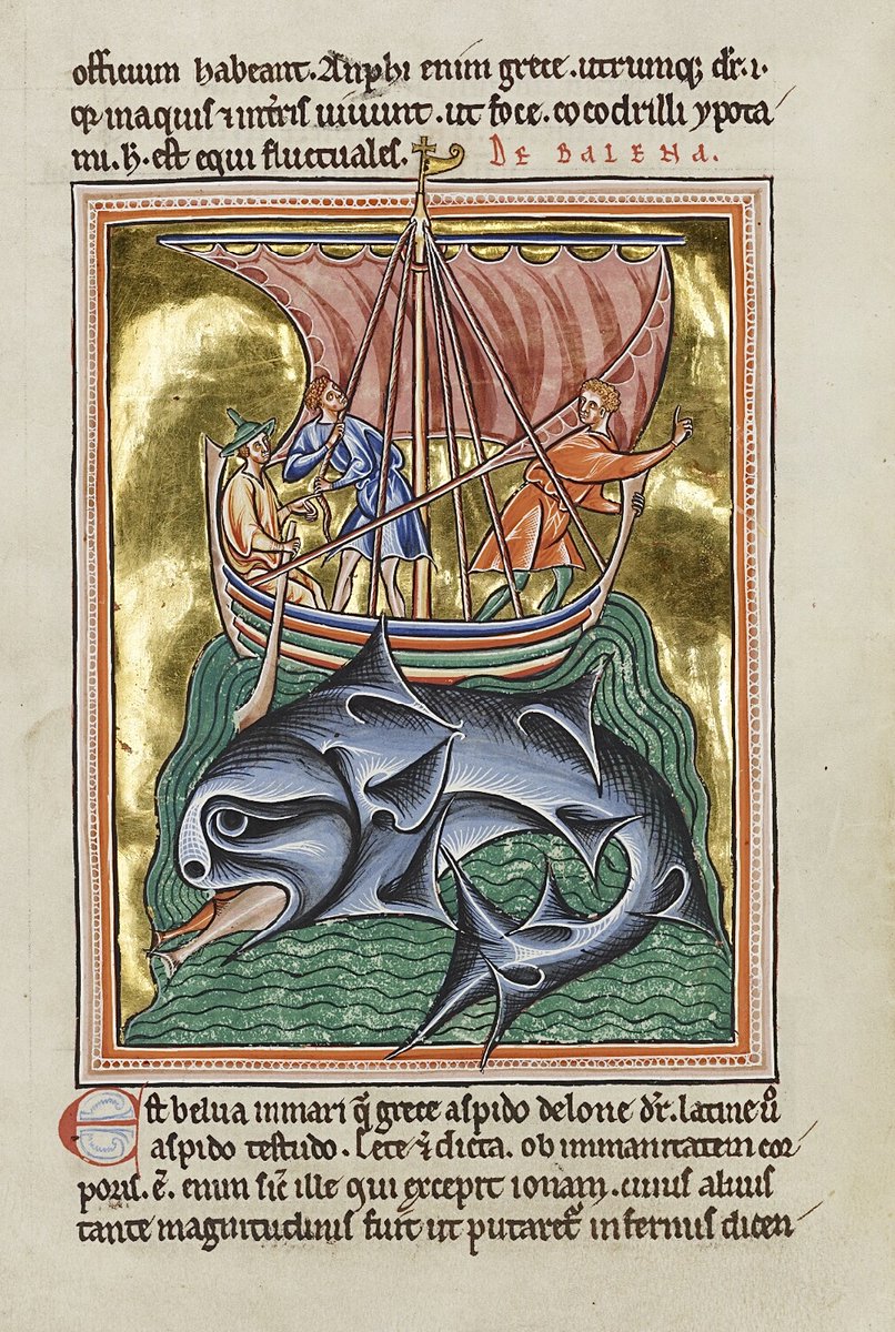 Having a whale of a time.... Bodleian Library MS. Ashmole 1511; 'The Ashmole Bestiary'; 1201 CE–1225 CE; England (Peterborough ? or Lincoln ?); f.86v @BDLSS
