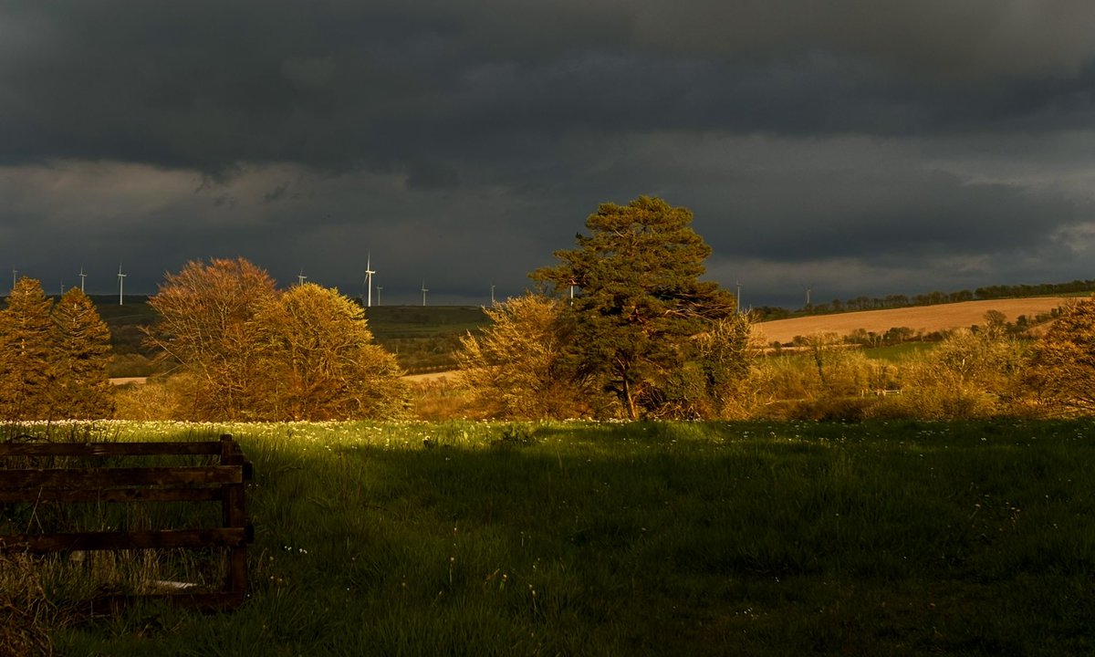 Golau hollol hyfryd yn bwlch clôs ni heno…yr haul yn dala melinau gwynt Brechfa a banc Castell Du gyda awyr ddu pert..Nos da x Fabulous light at our farmyard gate tonight at sunset,sun catching Brechfa windmills with that dark threatening sky,so gorgeous…Nos da x