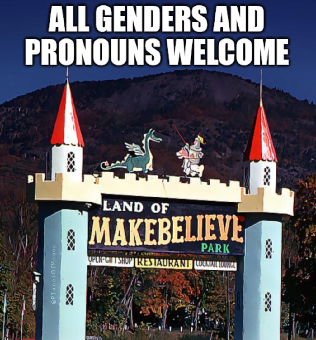 'It's actually an asylum, but don't tell them - they won't know the difference.' 🤪🦄🏳️‍⚧️