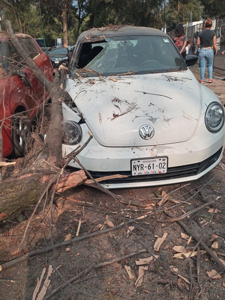 omarhdzmx's tweet photo. El 18 de abril se callo un árbol en mi carro, el árbol ya había sido reportado por vecinos, la delegación no se hizo cargo, fui a levantar el acta pero Mexico que pasará Nose? me dijeron que esperara a que vinieran los peritos @GOBIERNODELACI2 @Claudiashein @Alc_Iztapalapa https://t.co/y00aecOrnz