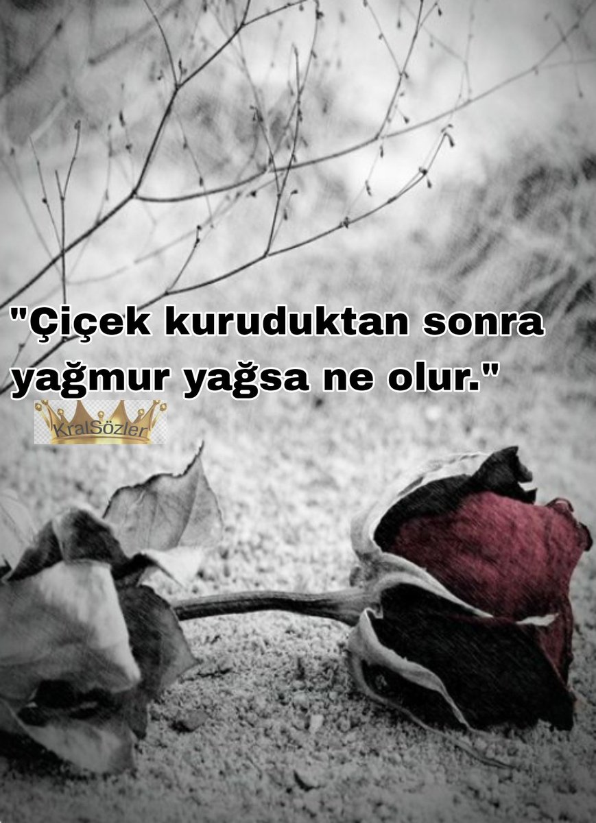 🖤🥀 #GeceyeNotum 'Çiçek kuruduktan sonra yağmur yağsa ne olur.' #İyigeceler güzel insanlar #Şevbaş #KralSözler 🖤🥀