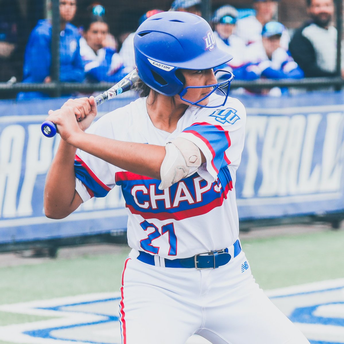 LCUSoftball's tweet photo. One more series in the regular season remains...

📸 - @his_mrs_todd https://t.co/ljacre0AzS