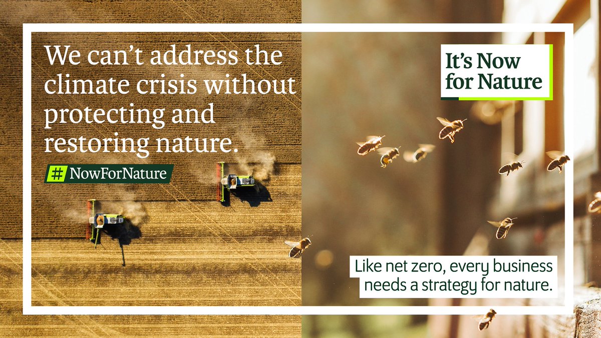 Nature loss is a risk that cannot be ignored. Businesses and financial institutions cannot sustainably grow their business, or achieve their climate goals, without protecting and restoring nature. Find out more at nowfornature.org #NowForNature