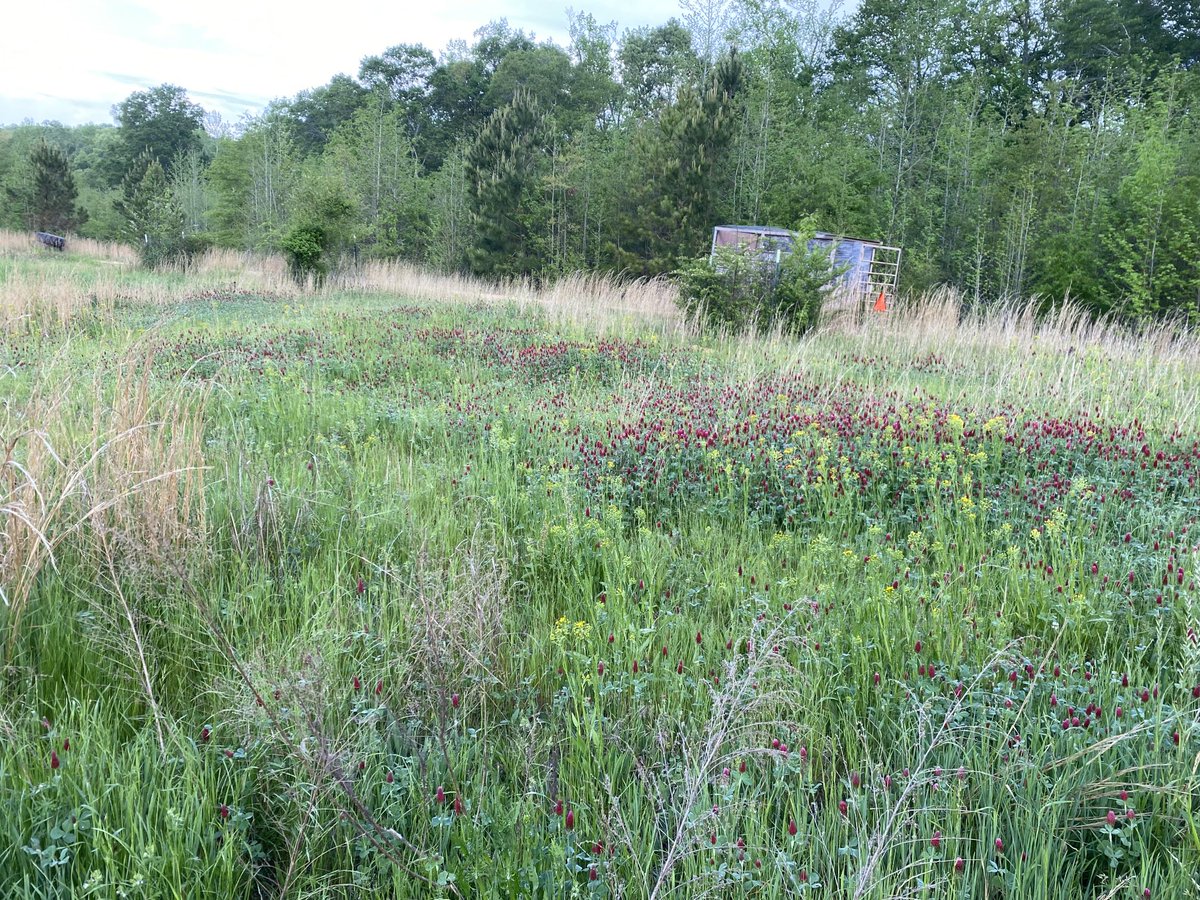 Long Story Farms, LLC tweet media