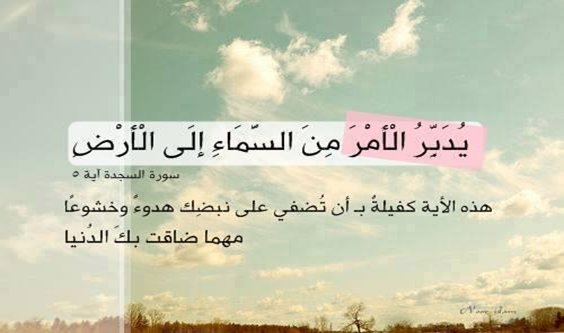 مـ حـ مـ ـد بـ ن مـ ـبـ ـارك الأ كـ لـ ـبـ ـي tweet media