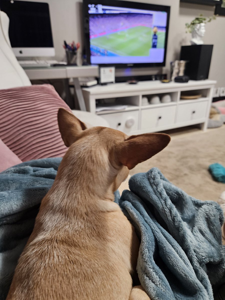 Viendo el clásico con the 'boss'.🐕⚽️