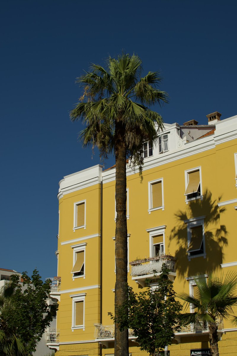 devotedtocode's tweet image. split, croatia last summer