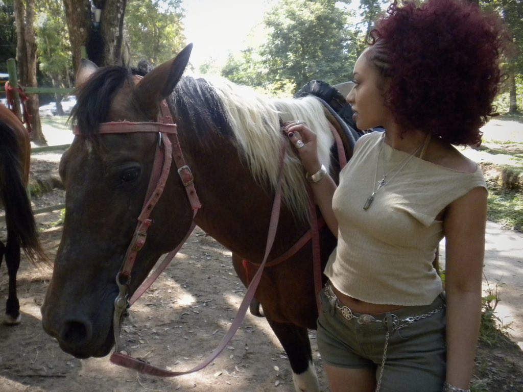 look at that horse, look at that horse, look at that horse