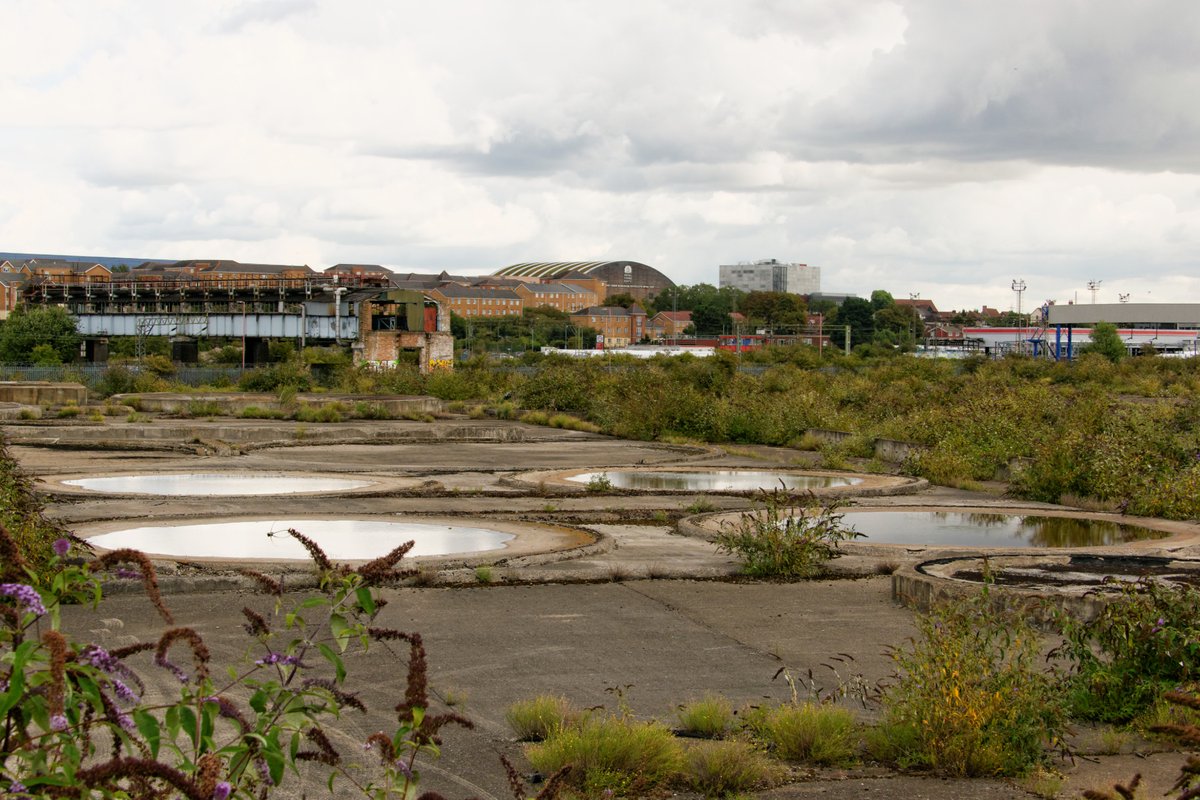 Thrilled to unveil Chadwell's new Theme Park today. The theme is 'existential despair.' The park will be open 9am-6pm Mon-Sat, excluding Bank Holidays & religious festivals. Enjoy.