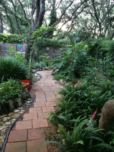 It’s a rare cool late April day. I’m sitting in the sunroom on the side of the house with all the windows open, my view. The rain has helped green everything up.