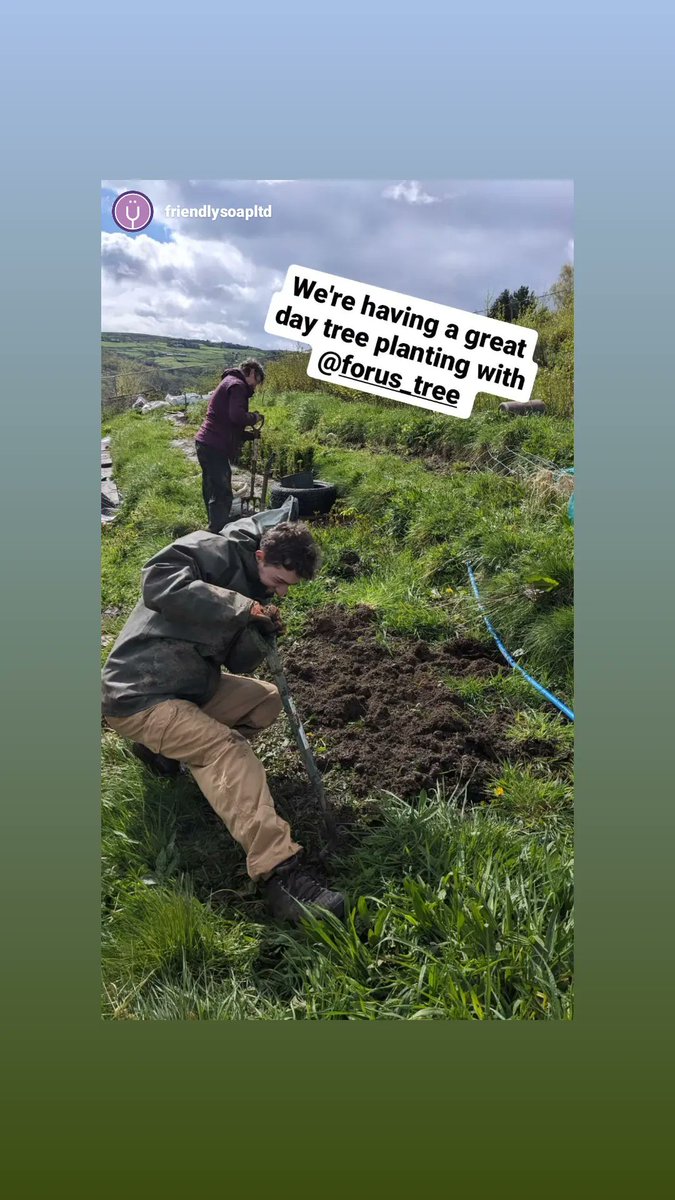 We continued with weeding and preparing the Downy Birch bed for the smallest saplings to be replanted and shifting the little Horse Chestnuts. Grateful for the help this week from first-time volunteer Adam, Caroline and Chris from @friendlysoapltd and our regular #volunteer Govi.