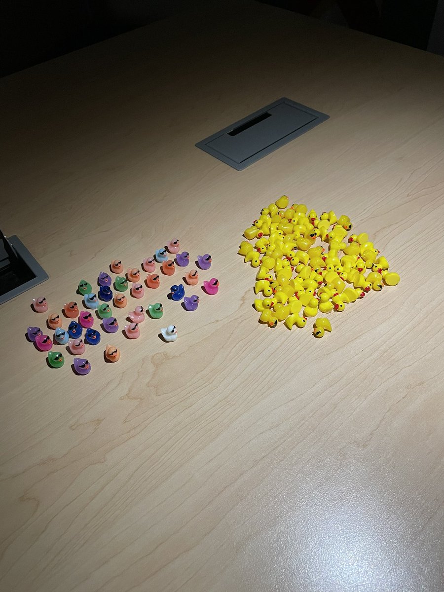 Scavenger hunt-yellow ducks you keep!  Colored ducks-one per person-turn into the corresponding office for your prize!
#Leydenpride 
#operationsnowball