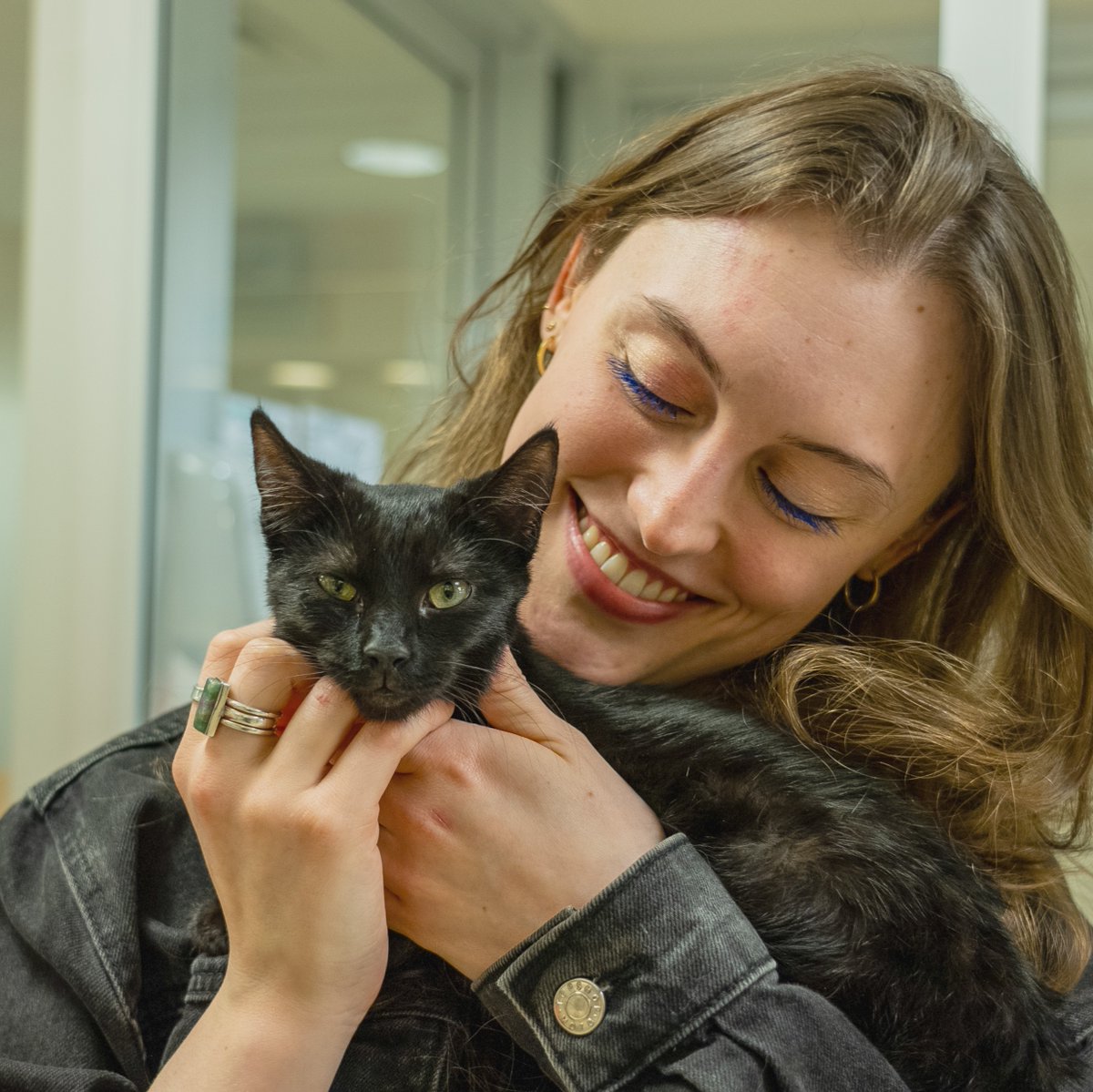 Find out how a Good Samaritan and NYPD officers helped rescue a kitten from the subway tracks in New York City and how, after her rescue, we helped her find a home: bit.ly/3vYtCqy ❤️