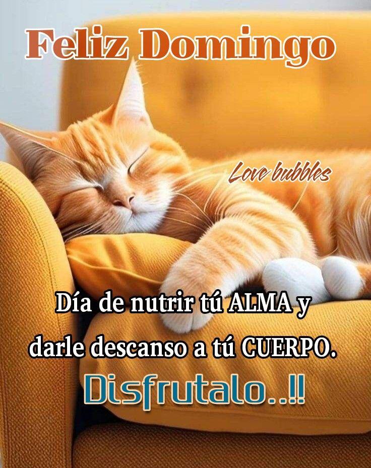 Alondra04461139's tweet photo. @kALENITA20 
Saludos Kalena 🥰🤗 https://t.co/AGYC6qc6KB