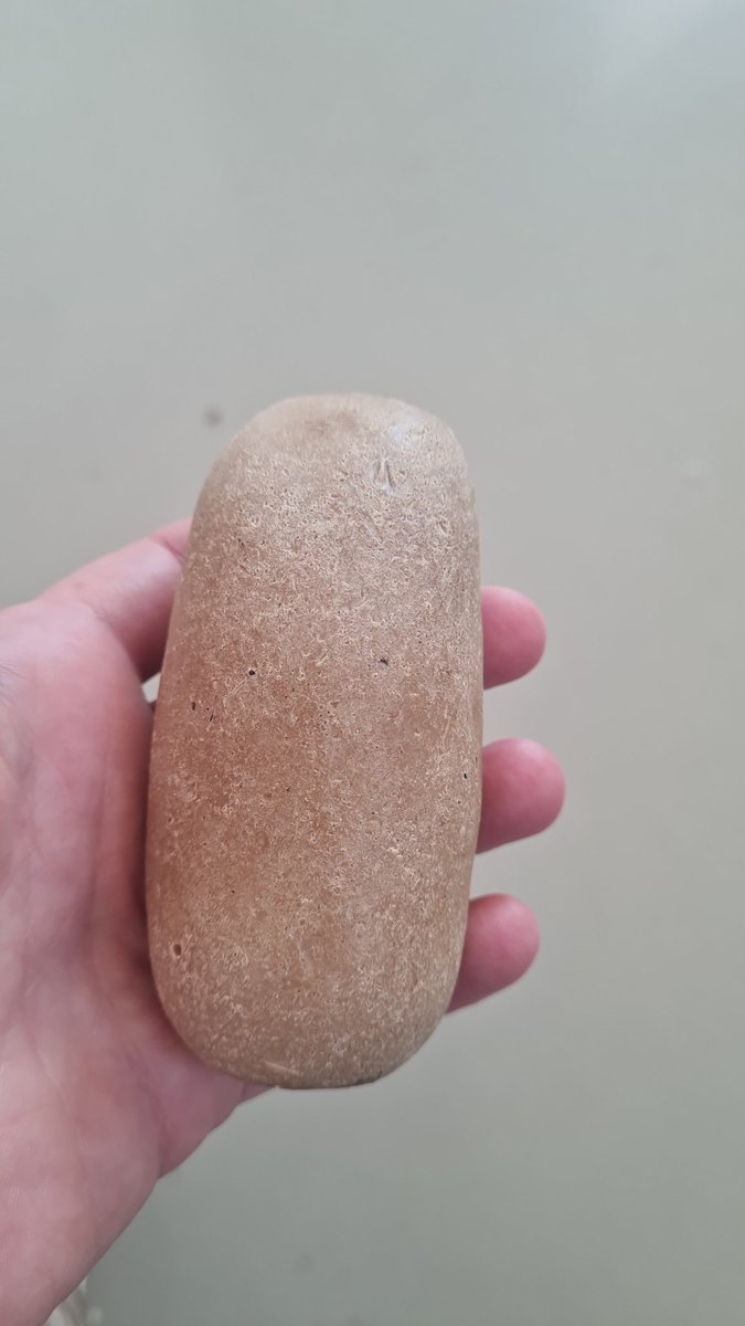 mollzers's tweet photo. @nicklpayne any idea where we can test for palm oil/ ambergris? https://t.co/qUwBFK66aB