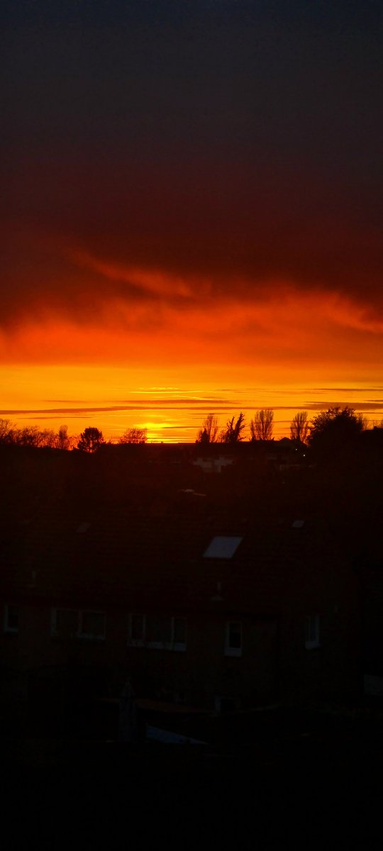 Colin Cumming tweet media