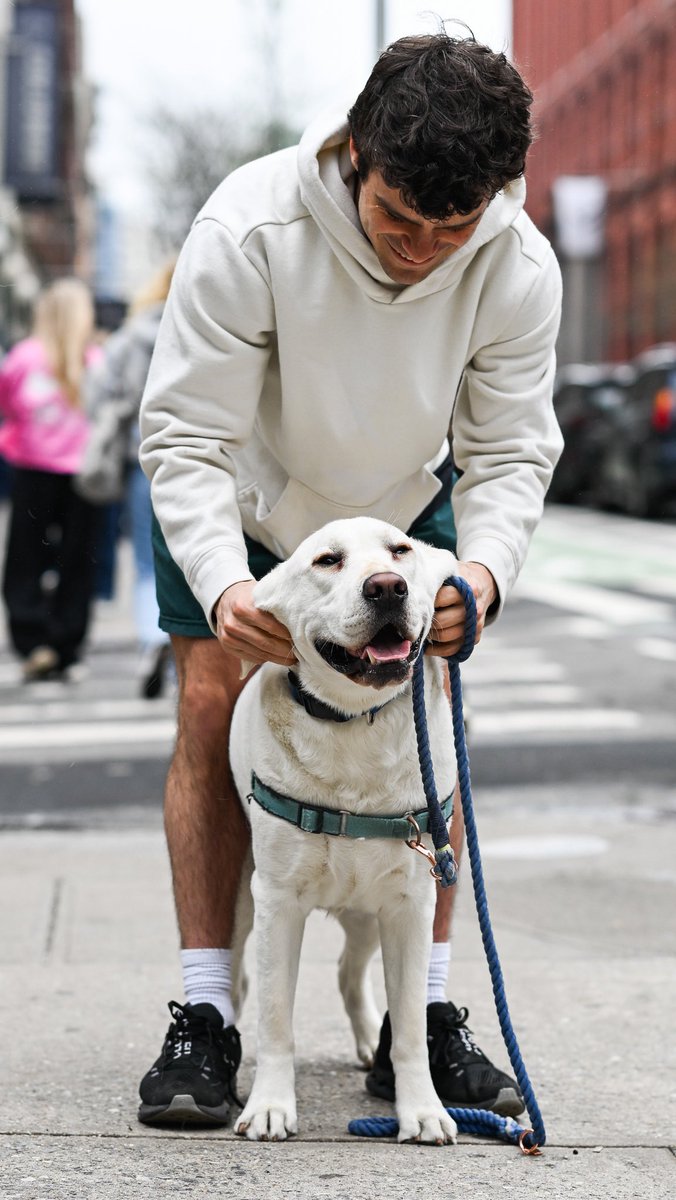 Dallas, Labrador Retriever (2 y/o), Prince & Lafayette St., New York, NY • “My mom named him – she was a Cowboys fan. He was my mom’s dog, and then she passed. He reminds me of her everyday – I think she’s in there somewhere. And he loves me unconditionally.”