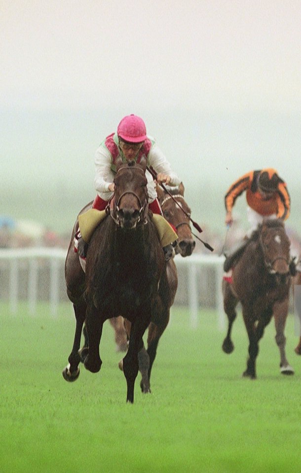 Zafonic's performance at Headquarters in 1993, when defeating Barathea by 3 1/2 lengths in a track record 1:35.32s, marked him down as the best 2000 Guineas winner since Dancing Brave. It was a fourth career Group One for the brilliant son of Gone West.
Timeform Timefigure 134.