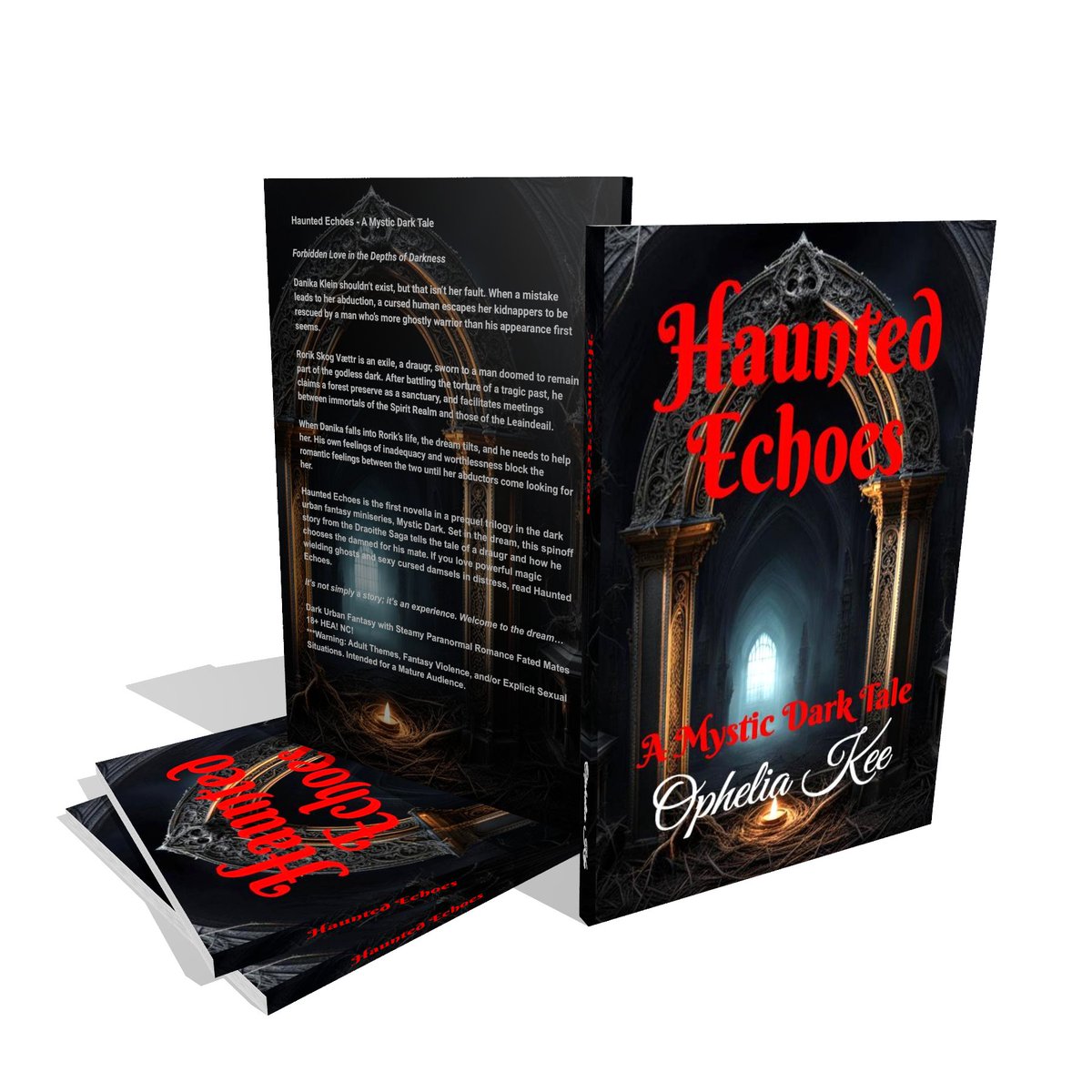 Now Available! books2read.com/haunted-echoes