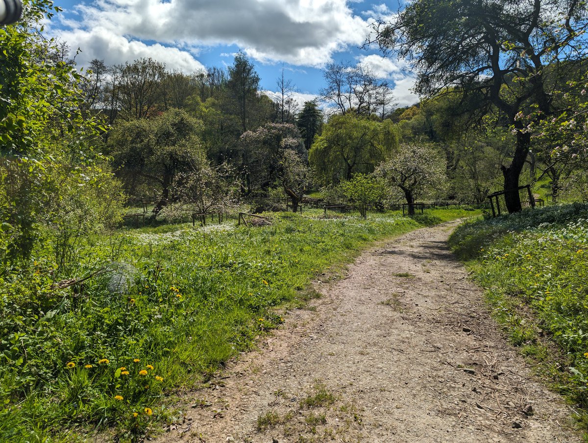 The orchards looking fantastic this time of the year.