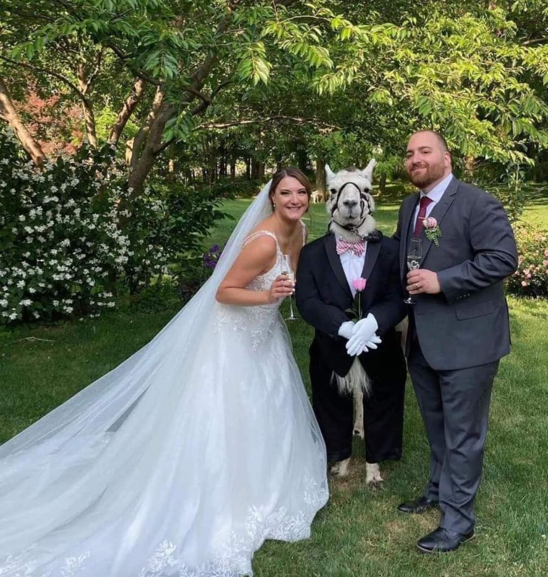 Dadman Walking tweet media