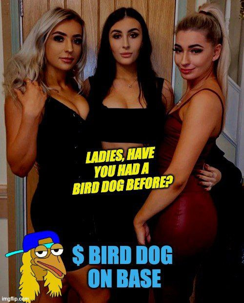 Birddog_base's tweet photo. Come join the Birddog Community. Constant Growth!! #birddog $birddog #BaseChain #BASED $base

CA:0x92af6f53febd6b4c6f5293840b6076a1b82c4bc2 https://t.co/5YV4xGhswH