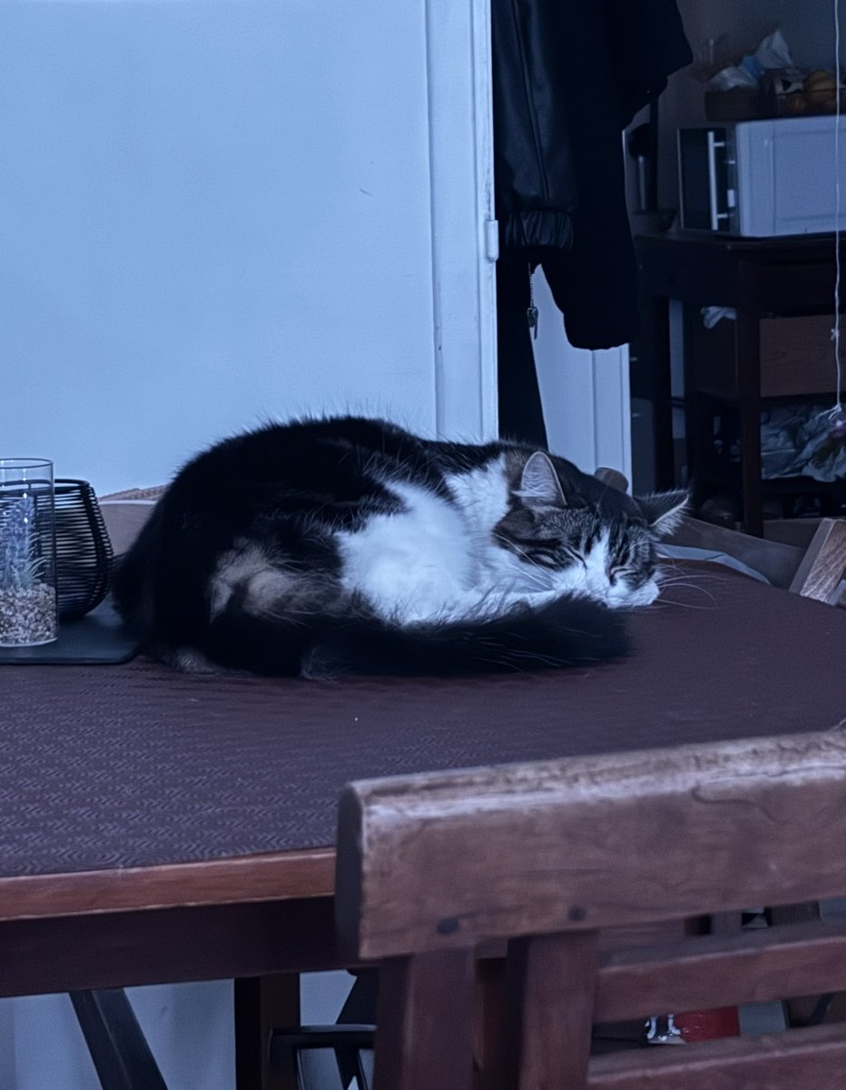 flavos 🪩🎀✨💕🪷🌟 tweet media