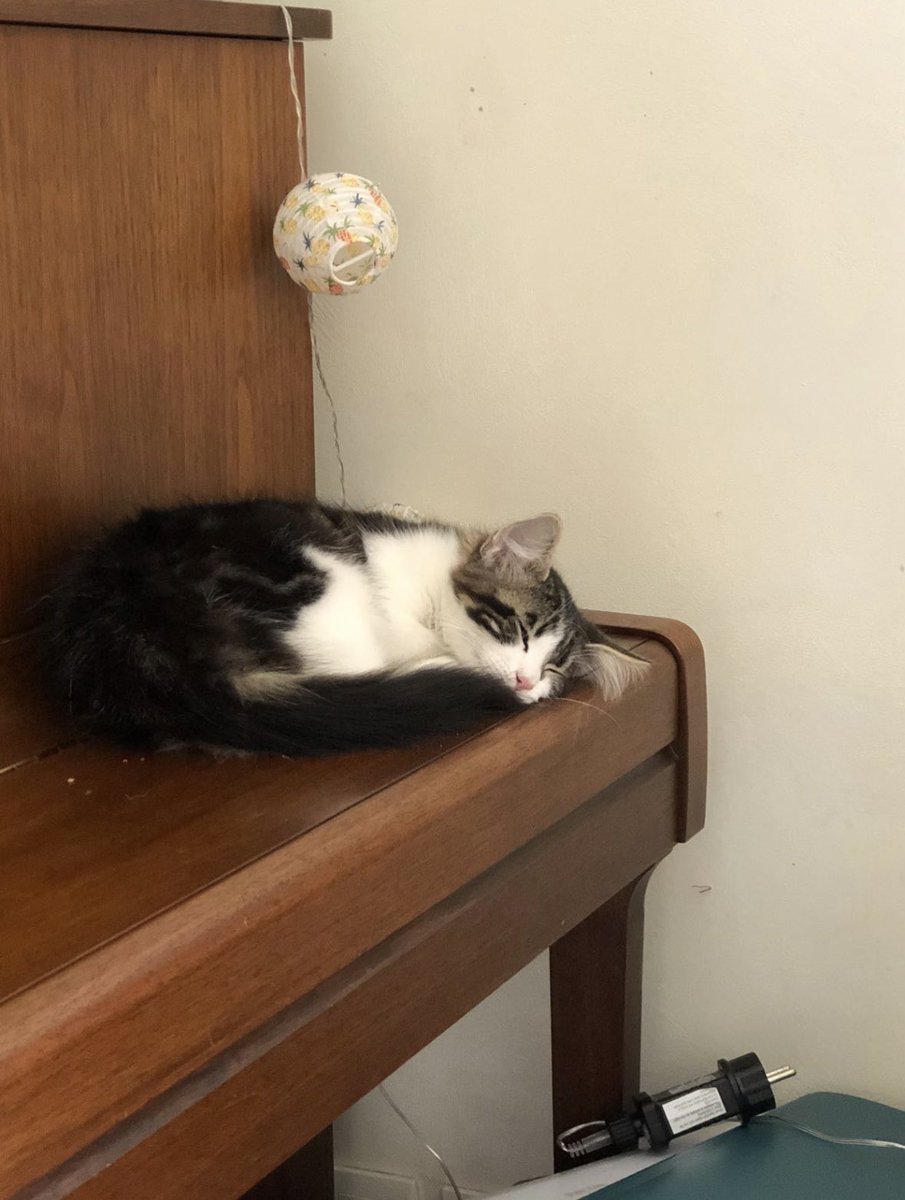 flavos 🪩🎀✨💕🪷🌟 tweet media