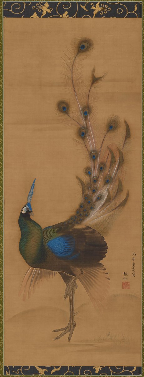 Peacock, by Mori Sosen, 1786

#morischool