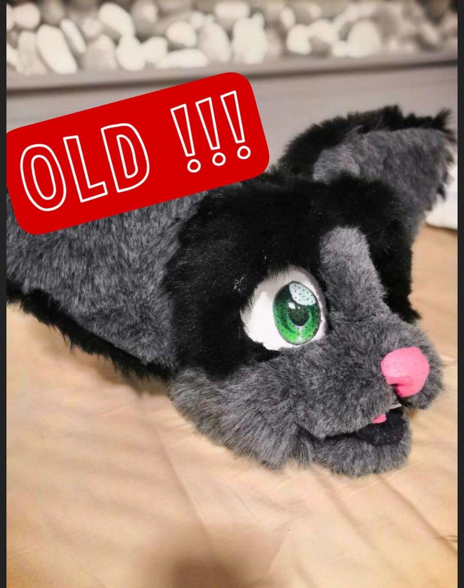 cherrypxw's tweet photo. @SkeleSabiArtist Hiya! I'm a new maker so I'm looking to expand my portfolio. A head would be 600€, a tail 40€ or more and if you'd like handpaws they would be 180€! :3 https://t.co/wMa3Z9DcLg