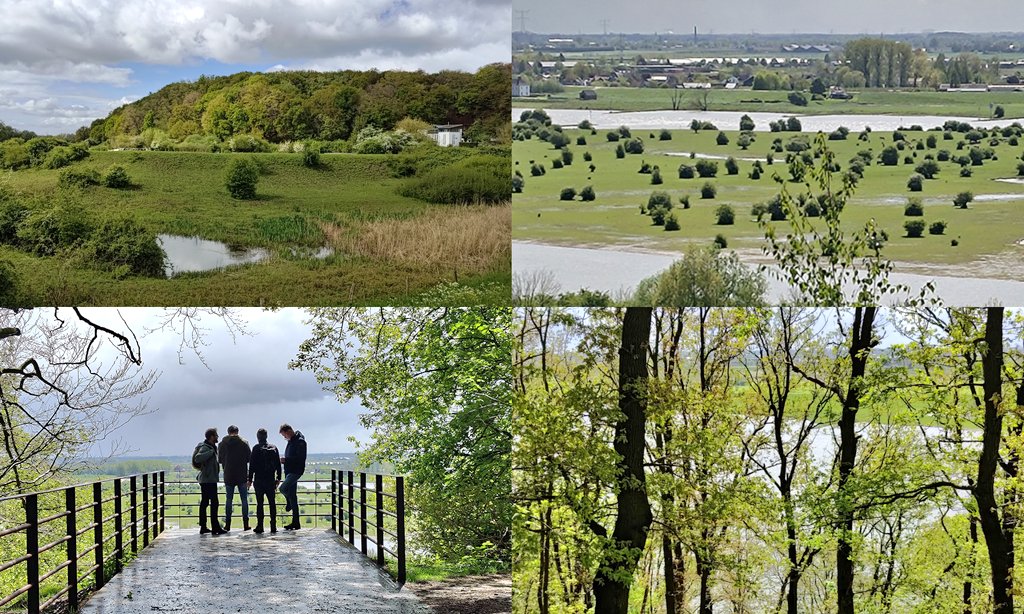 Met vier vrienden de lange NS-wandeling gedaan vanaf station Rhenen. Genieten van de uiterwaarden van de Nederrijn, het vogelrijke en begraasde natuurgebied de Blauwe Kamer en het bos op de Grebbeberg. Aanrader!