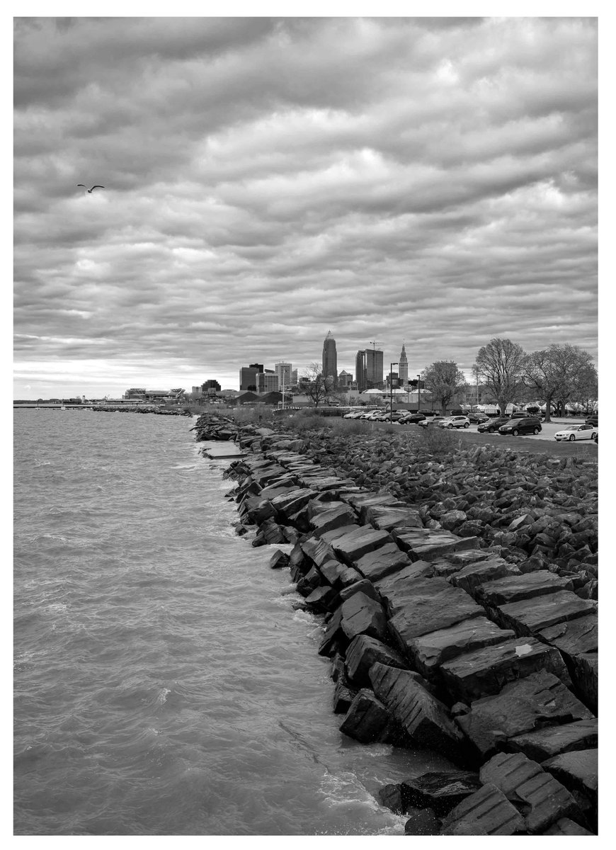 Thaddeus tweet media