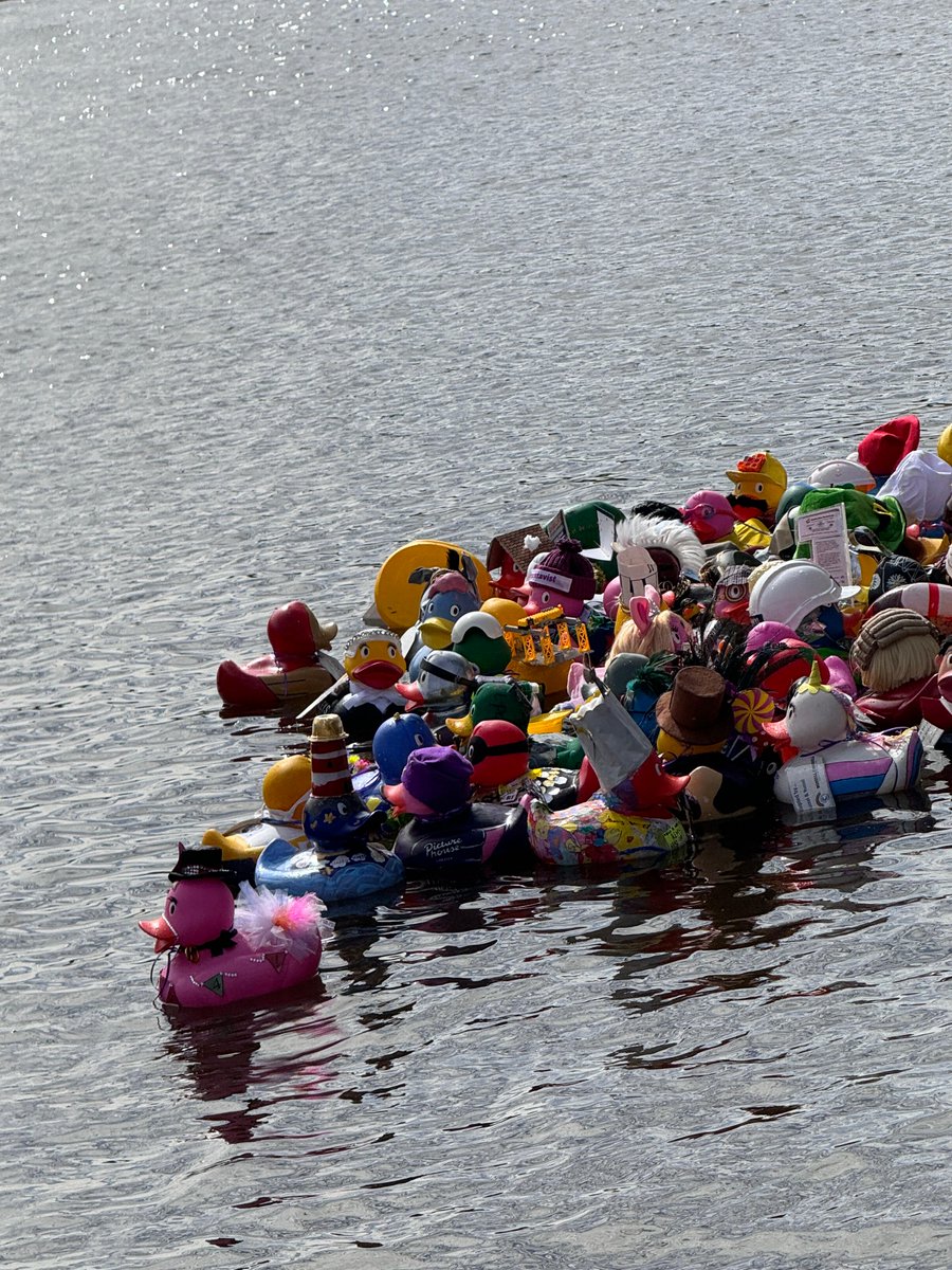 🦆 We were thrilled this year to take part in the annual Chester Duck Race! 💜 We entered our very own Lobby Boy duck and hit the River Dee to raise funds for The @COCHfundraising We had such a fantastic time. It was a heartwarming reminder of the power of community 🌈