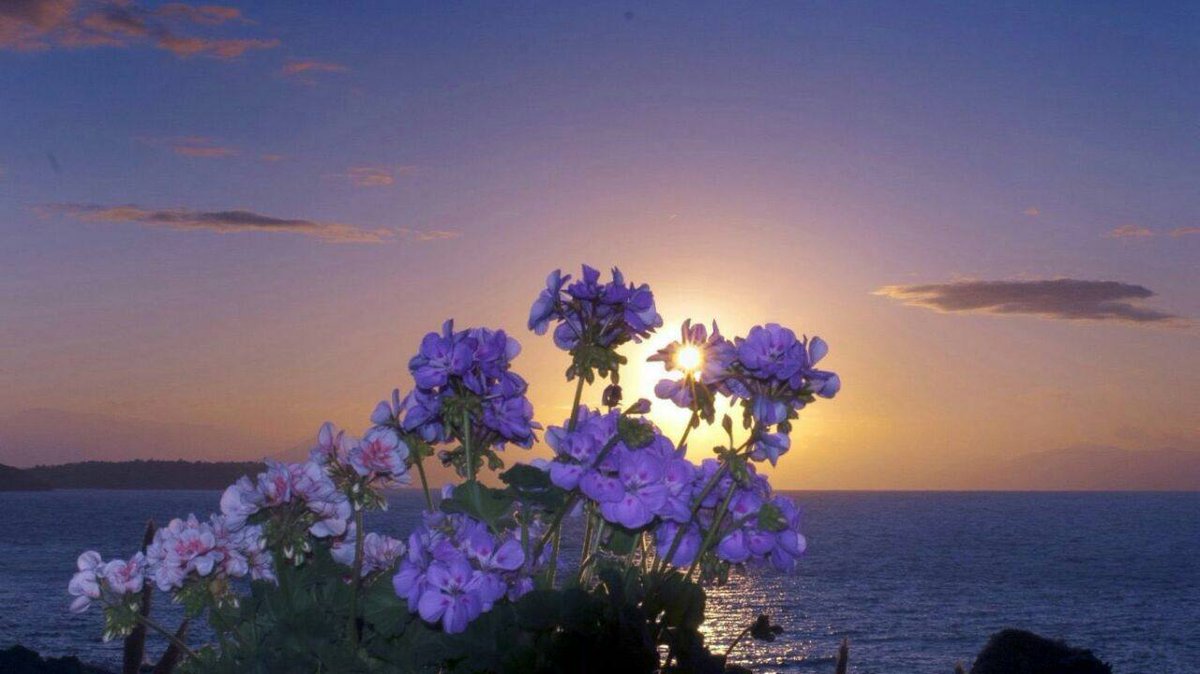 drhla4's tweet photo. @taip_athrik @bo0o330 ↲اسْتَغْفِرُ اللهَ العَظِيم الَّذِي لا إله إلاَّ هُوَ الحَيُّ القَيُّومُ وأتُوبُ إليه

↲اسْتَغْفِرُ اللهَ العَظِيم الَّذِي لا إله إلاَّ هُوَ الحَيُّ القَيُّومُ وأتُوبُ إليه
#طيب_اثرك https://t.co/8zJW2uzSYm
