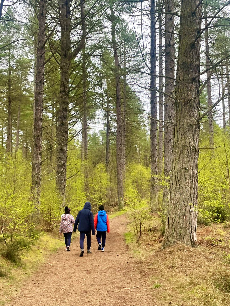 We did some #forestbathing today. Our eldest has exams coming up and we wanted to spend some time relaxing together in nature. So lucky to have this beautiful #forest so near home #mindfullness #shinrinyoku🌱🌲🌳🍃🌿 #familytime @ForestryLS @ #tentsmuirforest 💚