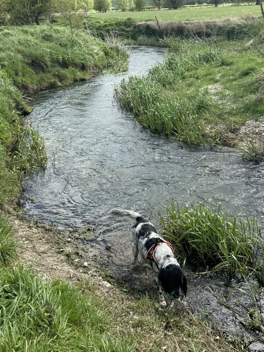 ScrumpyTrigs's tweet image. Lovely day out on the @NationalTrails Ridgeway overlooking #Avebury and #WestKennetLongBarrow
