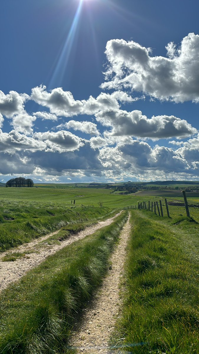 ScrumpyTrigs's tweet image. Lovely day out on the @NationalTrails Ridgeway overlooking #Avebury and #WestKennetLongBarrow