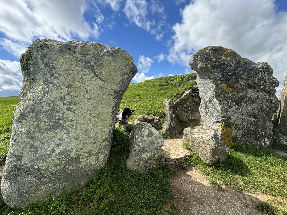 ScrumpyTrigs's tweet image. Lovely day out on the @NationalTrails Ridgeway overlooking #Avebury and #WestKennetLongBarrow