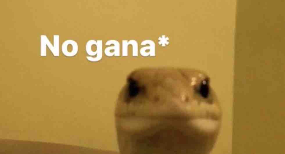 “El que no arriesga no gana”

Yo: *Me arriesgo*